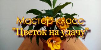 Клуб инвалидов по зрению из Хакасии предлагает смастерить цветок на удачу!